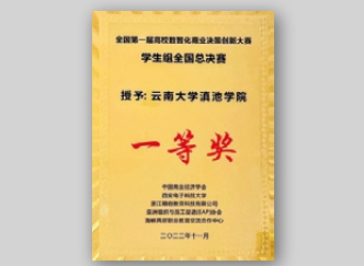 高校数智化商业决策创新大赛一等奖